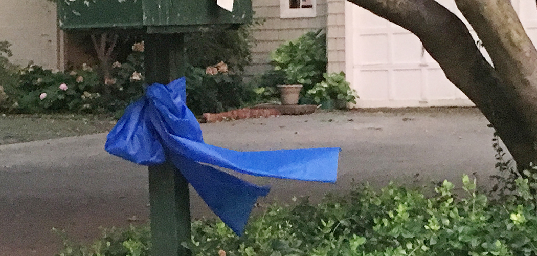 In response to Dallas police officers and a transit officer were killed while on patrol at a Black Lives Matter rally, neighbors on Joyce Way all took part in the blue ribbon campaign, adorning their homes with pops of blue to show their love and respect to police across the city and country. 