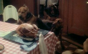 The neighbor's dogs attacking the Christmas turkey in "A Christmas Story": YouTube