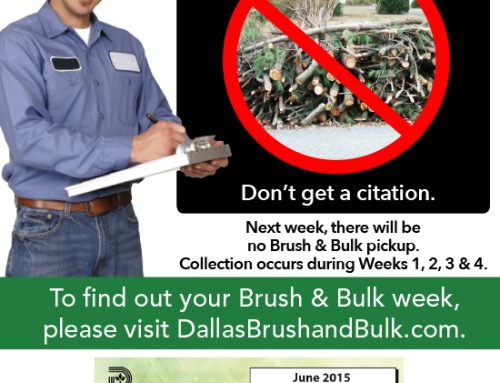 City of Dallas Brush and Bulk Trash
