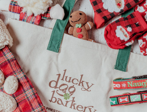 Stocking Stuffers: shop local this holiday season with gifts from small businesses
