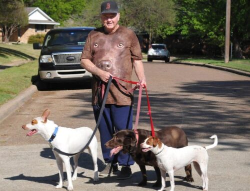 Fur-ever home needed for late photographer’s dogs