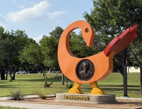 New playground unveiled at Anderson Bonner Park