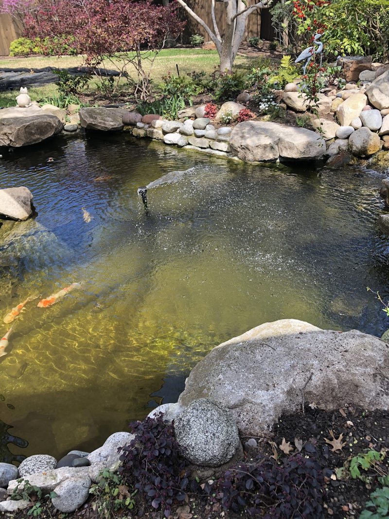Preston Hollow pond creates backyard oasis for wildlife on Dallas pond