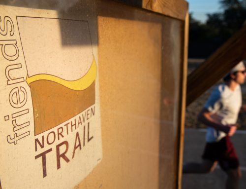 Friends of Northaven Trail to host screening of “The Wild”